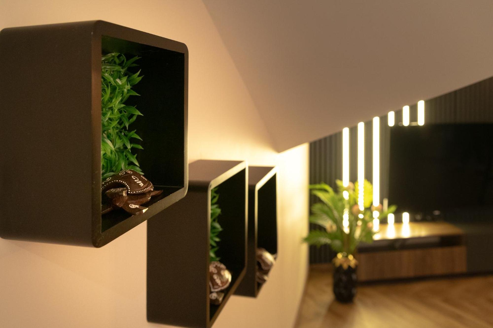 Fenix Apartments Soko Banja Ngoại thất bức ảnh